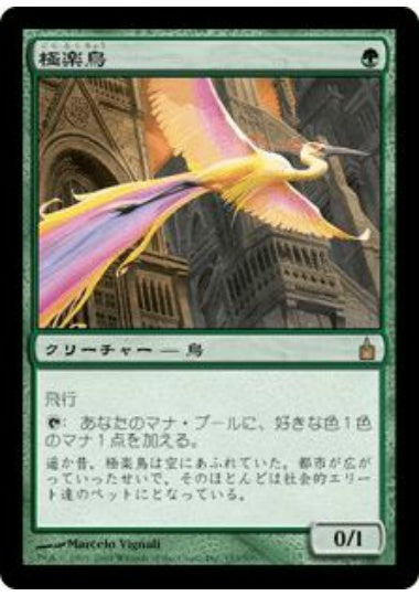 (日)【Foil】極楽鳥 / Birds of Paradise【RAV】 No.153