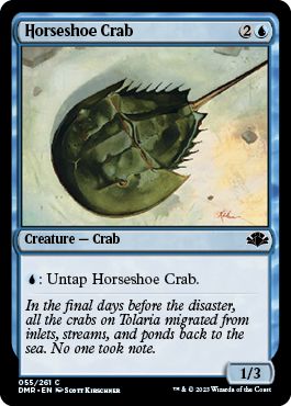 (英)【Foil】カブトガニ / Horseshoe Crab【DMR】 No.055