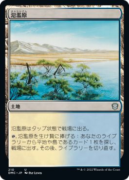 (日)氾濫原 / Flood Plain【DMC】 No.210