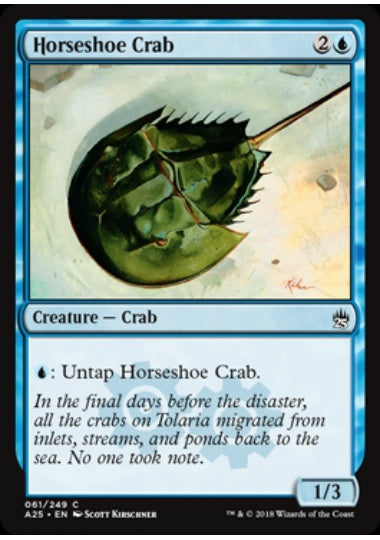 (英)カブトガニ / Horseshoe Crab【A25】 No.061
