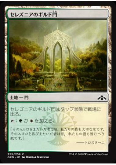 (日)【Foil】セレズニアのギルド門 / Selesnya Guildgate【GRN】 No.255