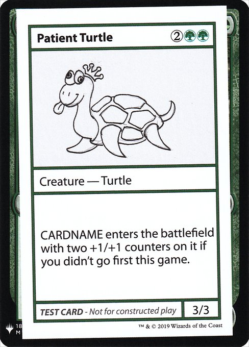 (英)Patient Turtle【MB1-TEST】 No.081