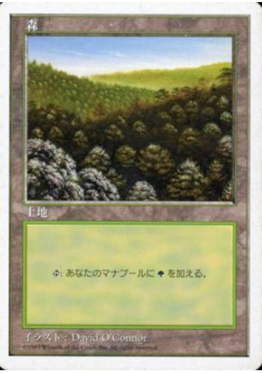 (日)森 / Forest【5ED】 No.446