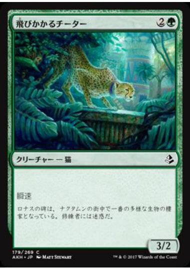 (日)【Foil】飛びかかるチーター / Pouncing Cheetah【AKH】 No.179