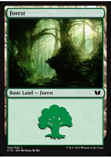 (英)森 / Forest【C15】 No.342
