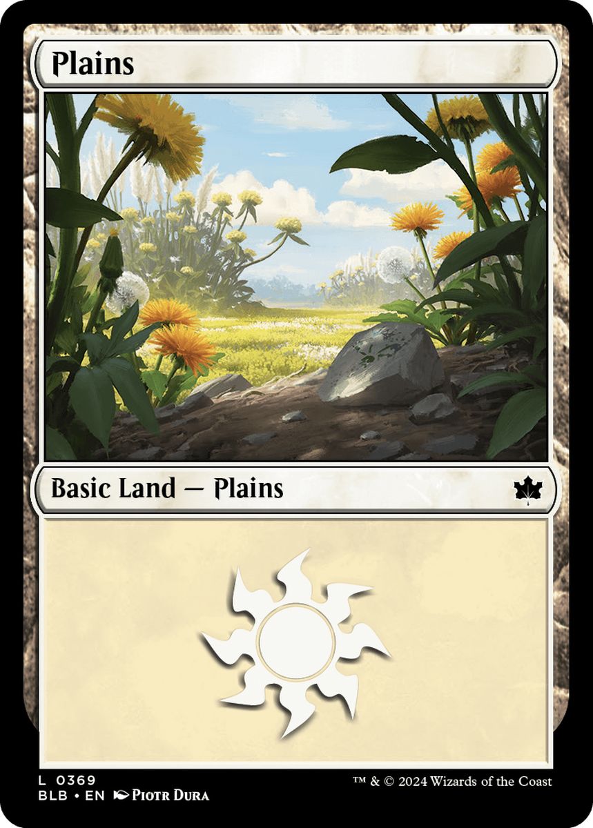 (英)平地 / Plains【BLB】 No.369