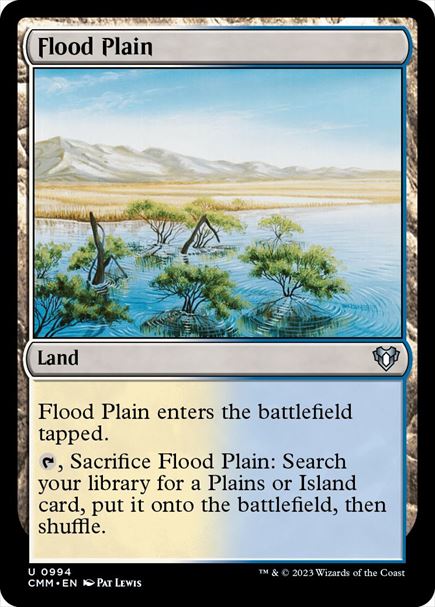 (英)氾濫原 / Flood Plain【CMM】 No.0994