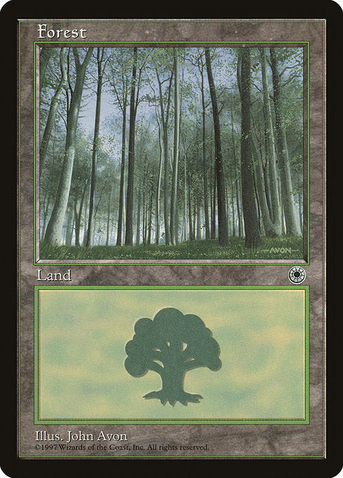(英)森 / Forest【POR】 D No.215