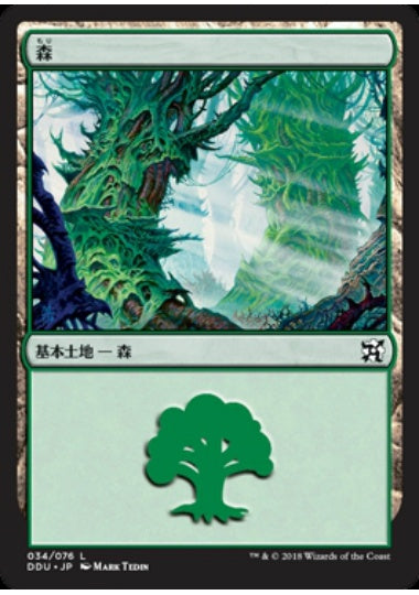 (日)森 / Forest【EVSI】 No.034