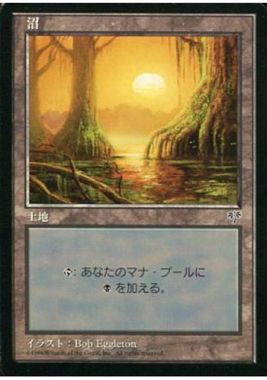 (日)沼 / Swamp【MIR】 No.339