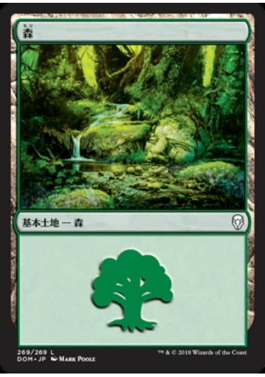 (日)森 / Forest【DOM】 No.269