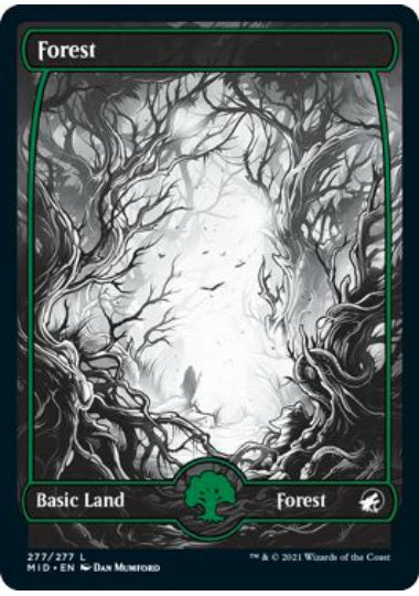 (英)【Foil】森 / Forest【MID】フルアート版 No.277