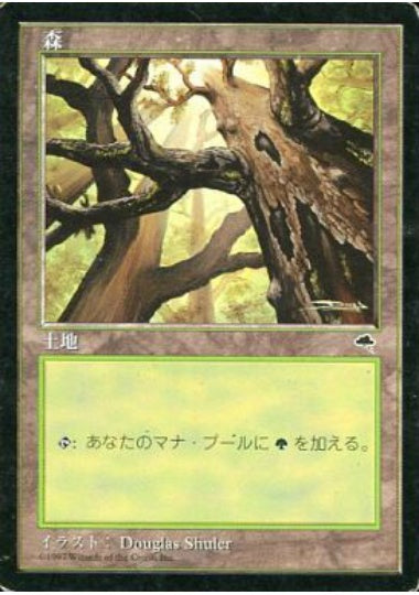 (日)森 / Forest【TMP】 No.349