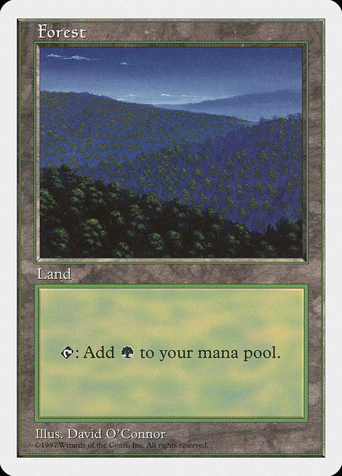 (英)森 / Forest【5ED】 No.447