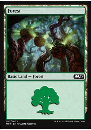 (英)森 / Forest【M19】 No.280