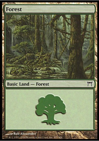 (英)森 / Forest【CHK】 No.305