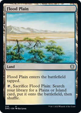 (英)氾濫原 / Flood Plain【DMC】 No.210