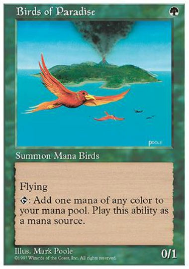 (英)極楽鳥 / Birds of Paradise【5ED】 No.280