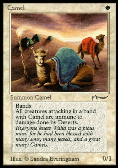 (英)Camel【ARN】 No.003