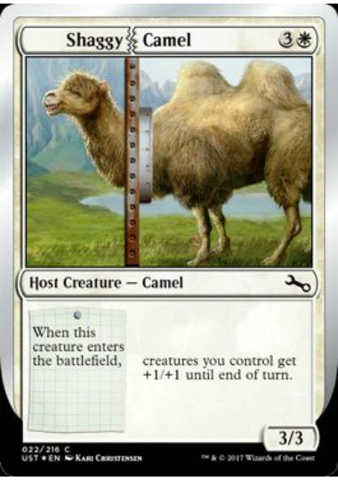 (英)Shaggy|Camel 【UST】 No.022