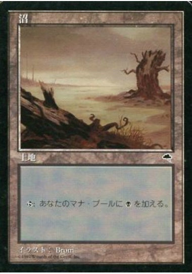 (日)沼 / Swamp【TMP】 No.342