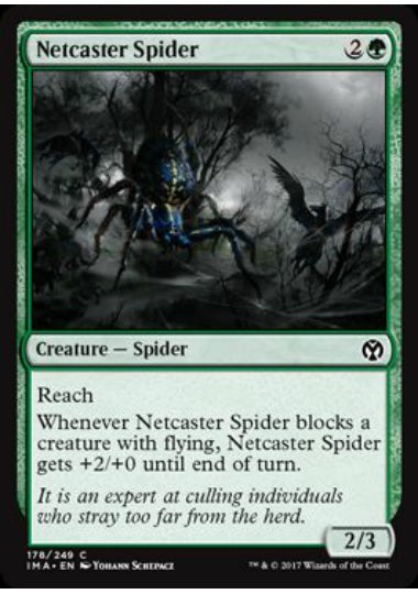 (英)【Foil】網投げ蜘蛛 / Netcaster Spider【IMA】 No.178