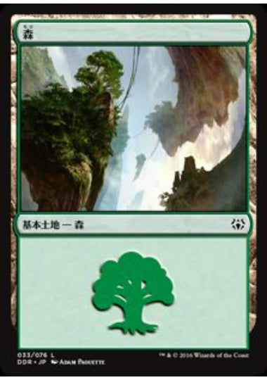 (日)森 / Forest【NVSO】 No.033
