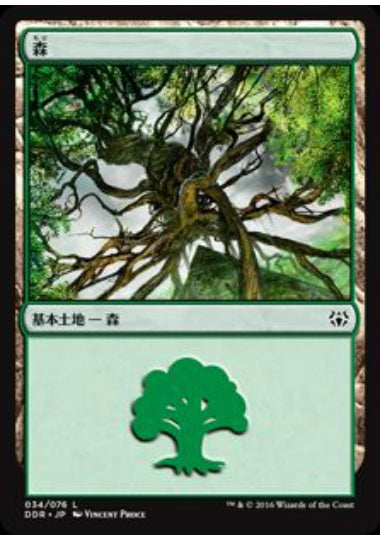 (日)森 / Forest【NVSO】 No.034