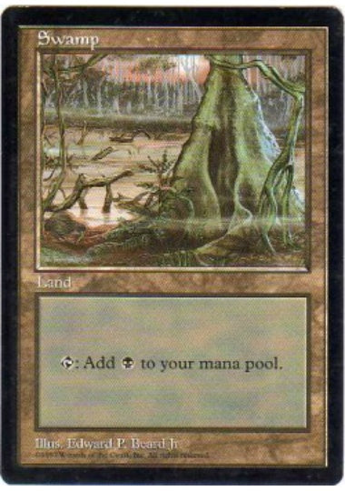 (英)沼 / Swamp【PRM】 ニュージーランド APAC LAND1 APACランド No.064