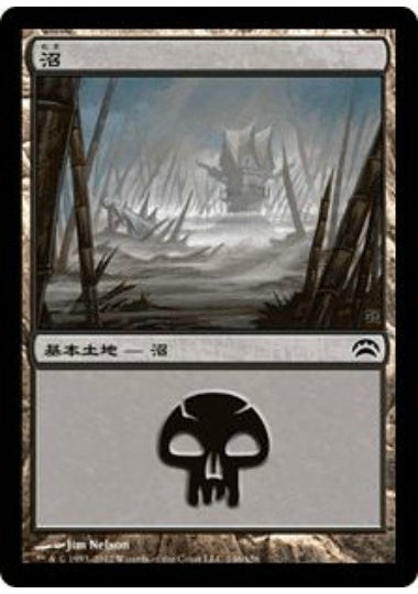 (日)沼 / Swamp【PLANE2012】 No.146
