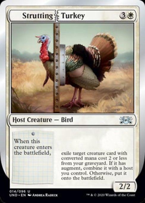 (英)Strutting|Turkey 【UND】 No.014