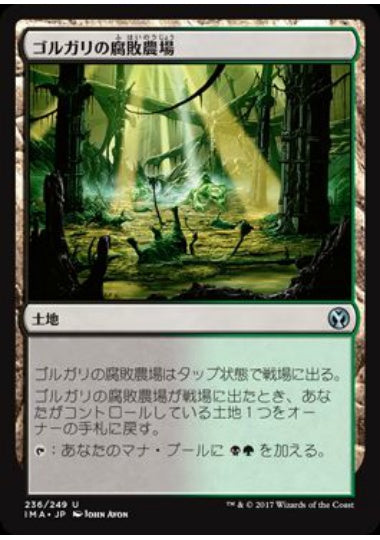 (日)【Foil】ゴルガリの腐敗農場 / Golgari Rot Farm【IMA】 No.236