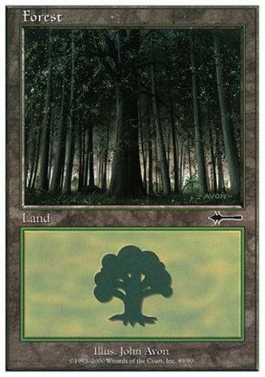 (英)森 / Forest【BD】 No.089
