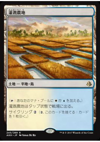 (日)【Foil】灌漑農地 / Irrigated Farmland【AKH】 No.245