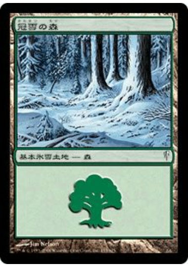(日)冠雪の森 / Snow-Covered Forest【CSP】 No.155