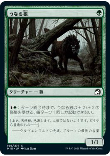 (日)【Foil】うなる狼 / Snarling Wolf【MID】 No.199