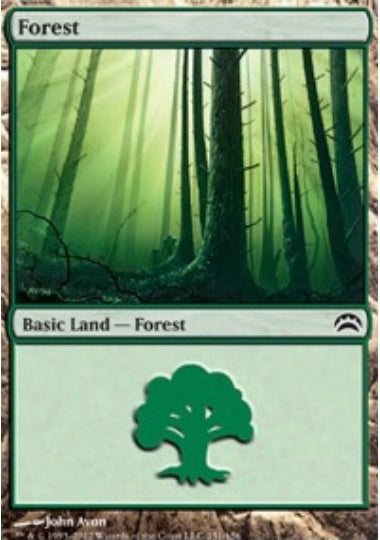 (英)森 / Forest【PLANE2012】 No.151