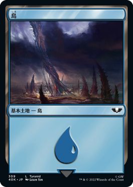 (日)島 / Island【40K】 No.309