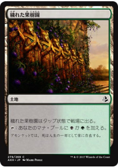 (日)穢れた果樹園 / Foul Orchard【AKH】 No.279