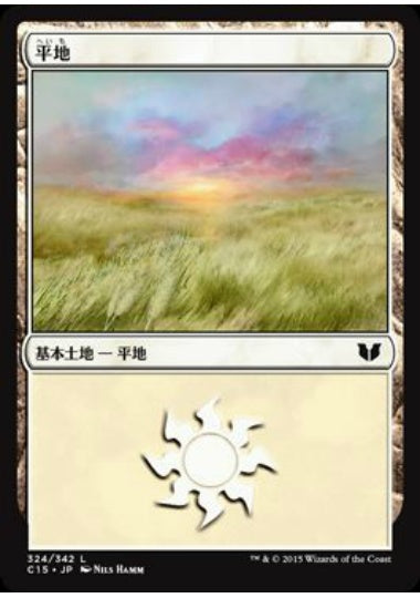 (日)平地 / Plains【C15】 No.324