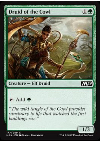 (英)【Foil】僧帽地帯のドルイド / Druid of the Cowl【M19】 No.177