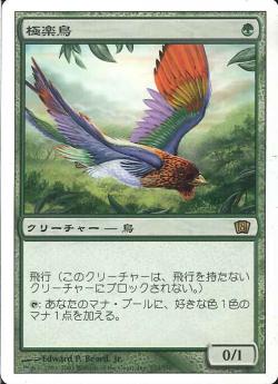 (日)極楽鳥 / Birds of Paradise【8ED】 No.233
