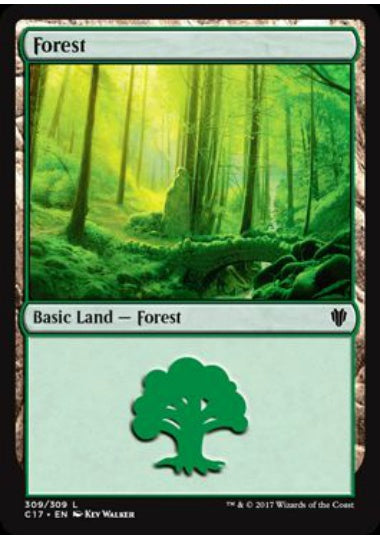 (英)森 / Forest【C17】 (Kev Walker) No.309