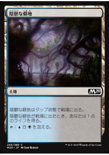(日)【Foil】陰鬱な僻地 / Dismal Backwater【M20】 No.245