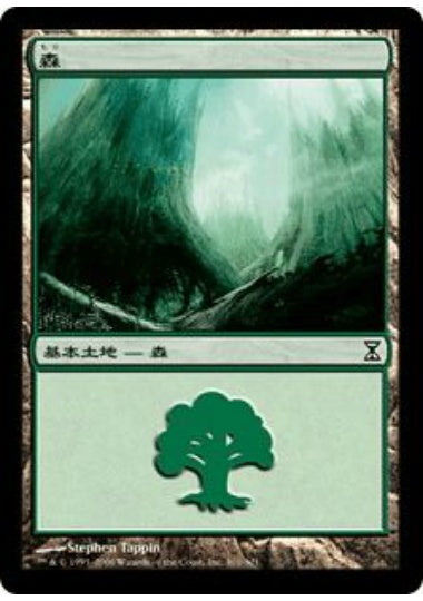 (日)森 / Forest【TSP】 No.301