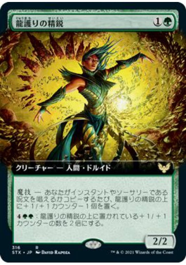 (日)【Foil】龍護りの精鋭 / Dragonsguard Elite ★拡張枠★ 【STX】 No.316