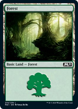 (英)森 / Forest【M21】 No.274