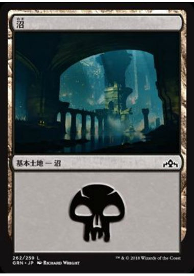 (日)沼 / Swamp【GRN】 No.262