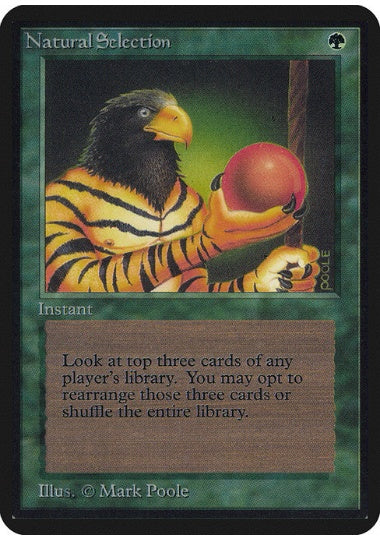 (英)Natural Selection【ALPHA】 No.212