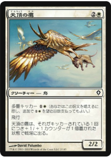 (日)天頂の鷹 / Apex Hawks【WWK】 No.002